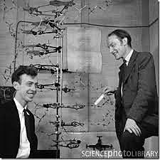 WATSON Y CRICK DESCUBREN EL ADN