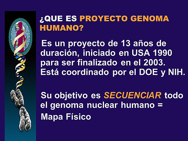 PROYECTO GENOMA HUMANO