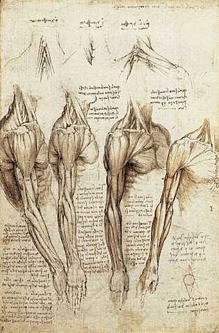 Leonardo da Vinci