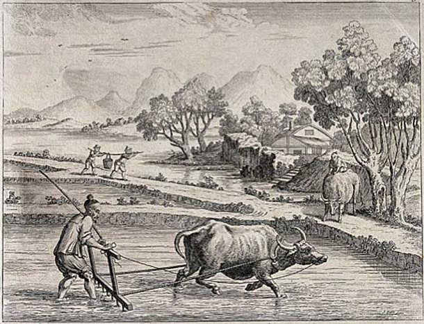 The plow replaces the digging stick as a means to dig up the ground and make it ready for planting. The early plow is pulled by humans. Eventually animals are used.