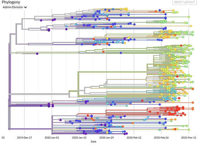 Secuencia genética del virus
