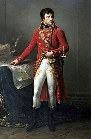 Napoleon the Consul