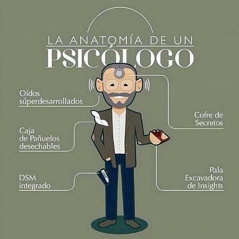Creación del programa de psicología .