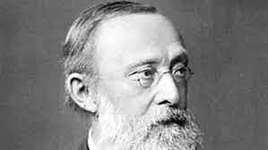 Mycobacterium Tuberculosis.