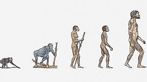 EVOLUCIÓN