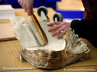 Designación del señor Luis María