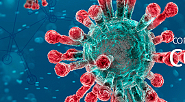 Timeline: Coronavirus o COVID-19