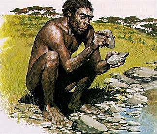 HOMO HABILIS