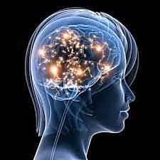 PLATÓN (420-347 A. C) HIPÓTESIS CEREBRAL FRENTE A HIPÓTESIS CARDÍACA