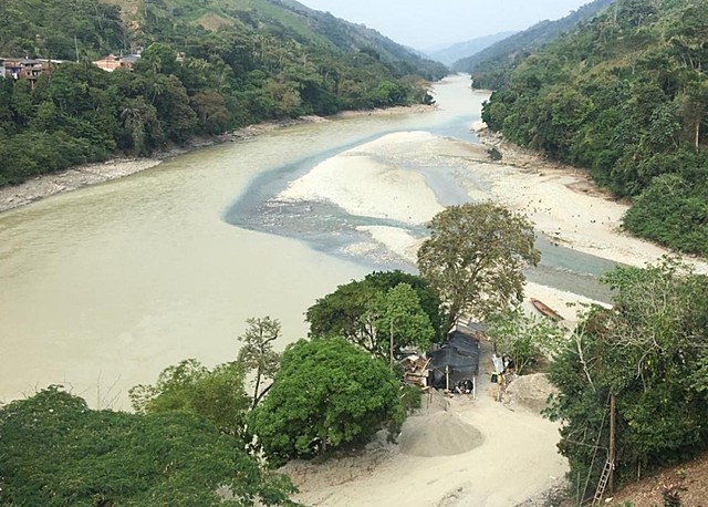 Sentencia 038 de 2019