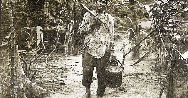 Explotación del caucho