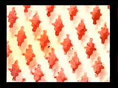 Beginning of Data Moshing