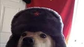 Timeline: Historia del comic