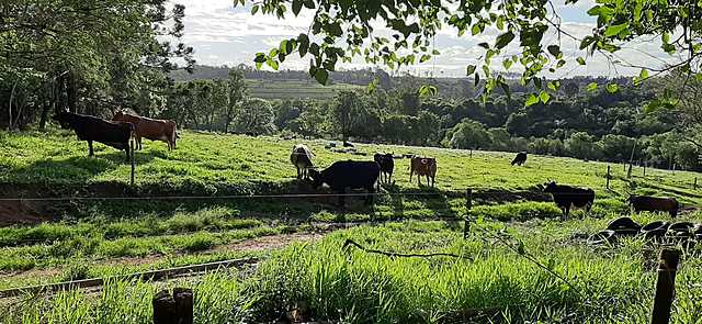 Fazenda Demétria sob 3ª direção