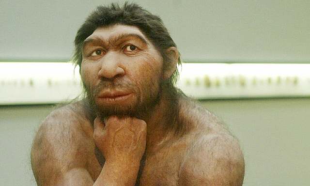 H.Sapiens neandertalensis