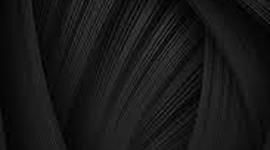 Timeline: Medios de transporte