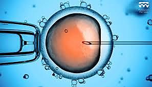 Totipotencionalidad Limitada