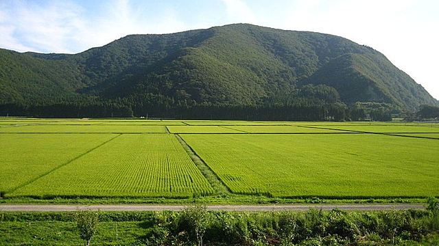 Prioridad a los latifundios
