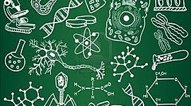 Timeline: Clonación y Transgénesis