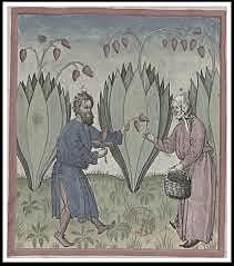 plan de estudio de Asesor General Del Cabildo