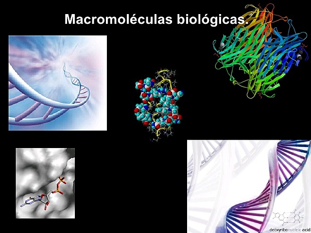 MACROMOLECULAS BILOGICAS.