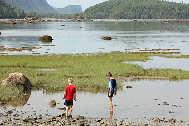 mon voyage Familial en Gaspésie