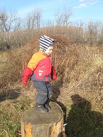 Activité à l'île Saint-Bernard(je tombe de la buche)
