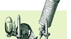 Timeline: MARTINEZ GONZALEZ GAEL, TEORÍA CELULAR