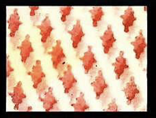 Beginning of data moshing