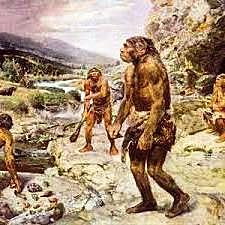 Aparició homo hàbilis. Prehistòria