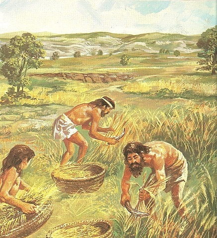 Descobriment de l'agricultura