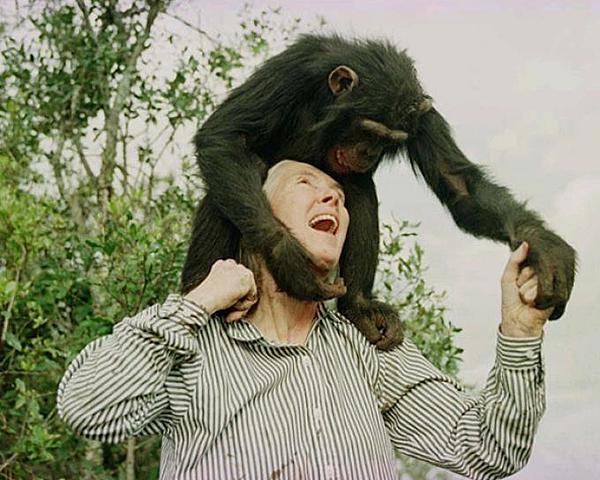 Jane Goodall