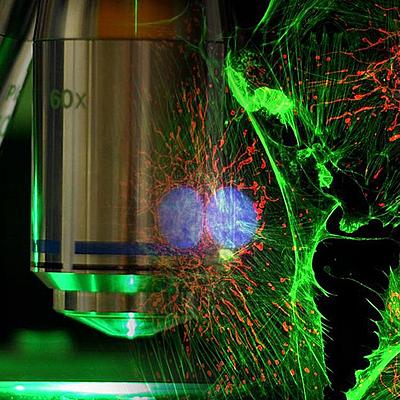 Timeline: Хронология развития микроскопа (Гостева)