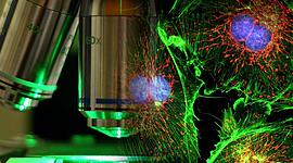 Timeline: Хронология развития микроскопа (Гостева)