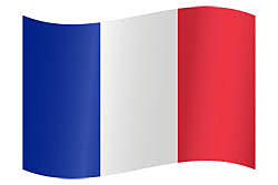 1. LE DRAPEAU TRICOLORE