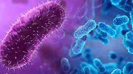 Timeline: Historia de la microbiologia