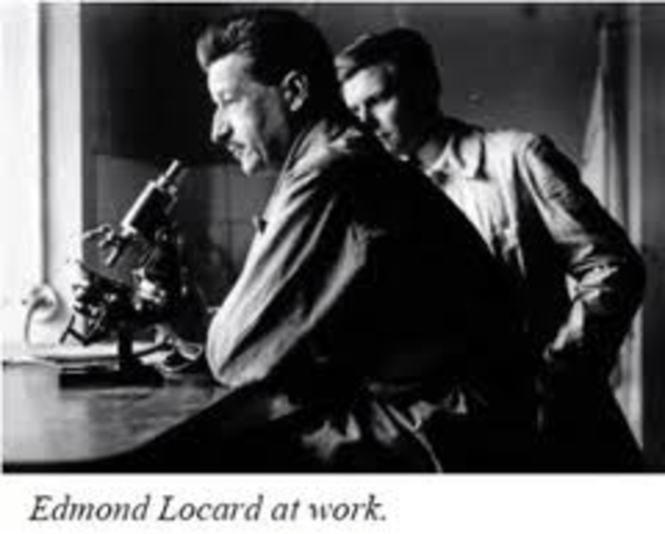 Matching Fingerprint Identification