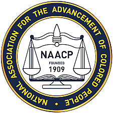 establisment of the NAACP