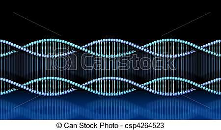 Clonación de la Insulina