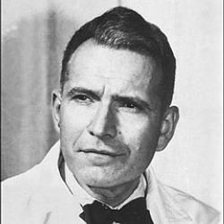 Scoperta delle quantità dei nucleotidi presenti nel DNA