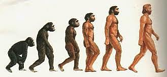 Processo di ominazione