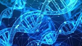 Timeline: HISTORIA DEL ADN