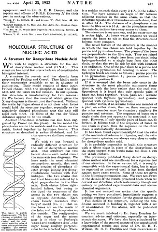 25 Aprile 1953 WATSON & CRICK
