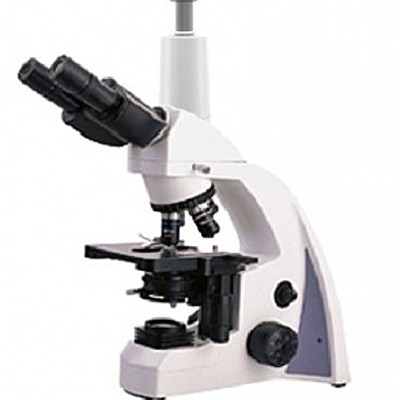 Timeline: Mrocroscopio