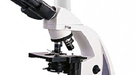 Timeline: Mrocroscopio