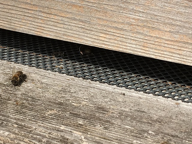 DITCHLEY on the purpose of university