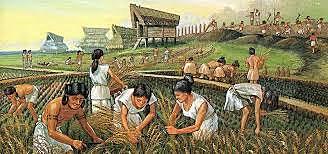 Invenzione Agricoltura