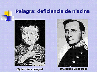Estudios sobre la Pelagra