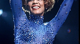 Timeline: Mónica Santamaría Pérez