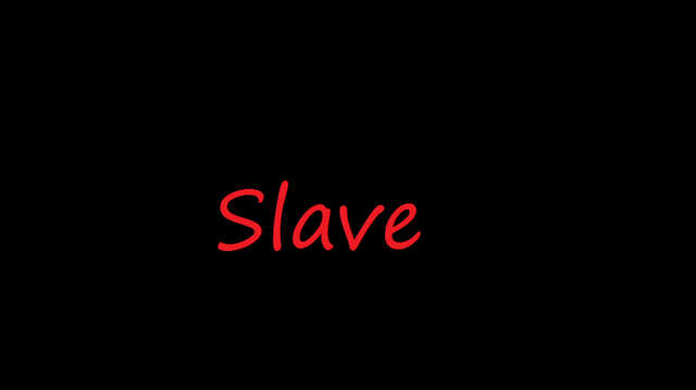 Origin of the word slave